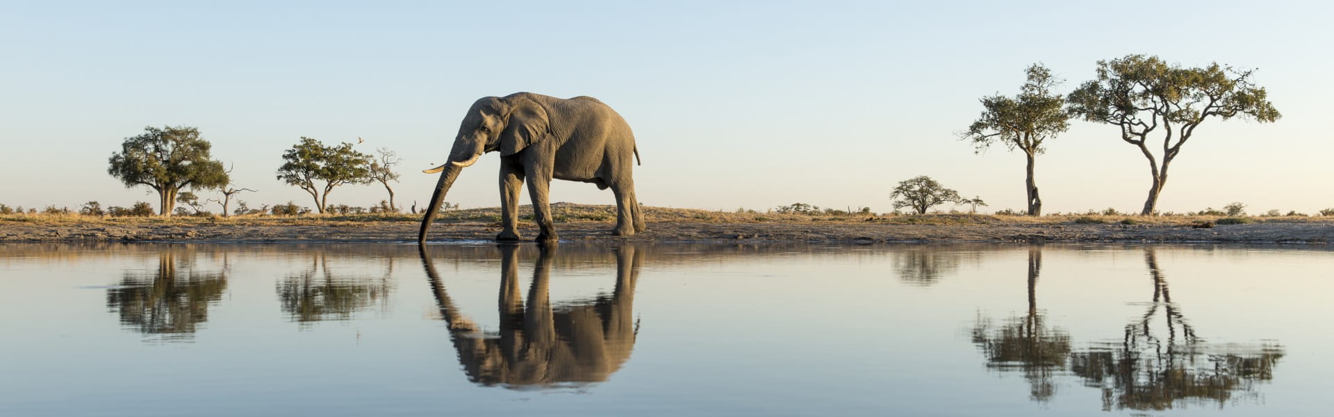 Rutas por Botswana