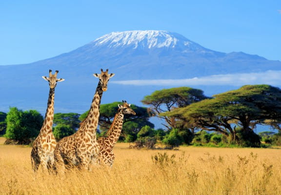 Amboseli