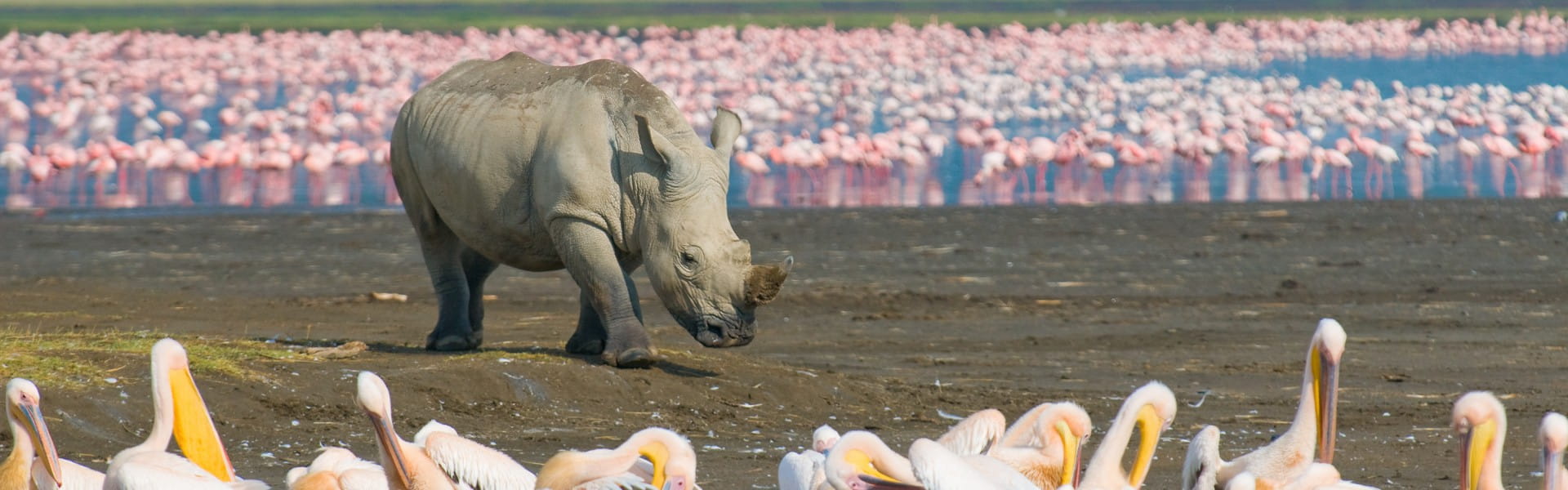 Masai Mara