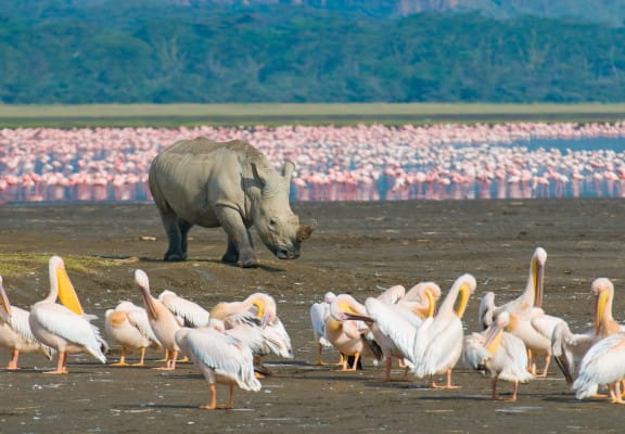 Masai Mara