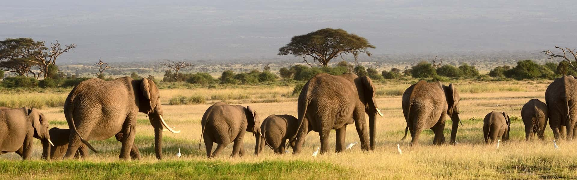 Rutas por Namibia