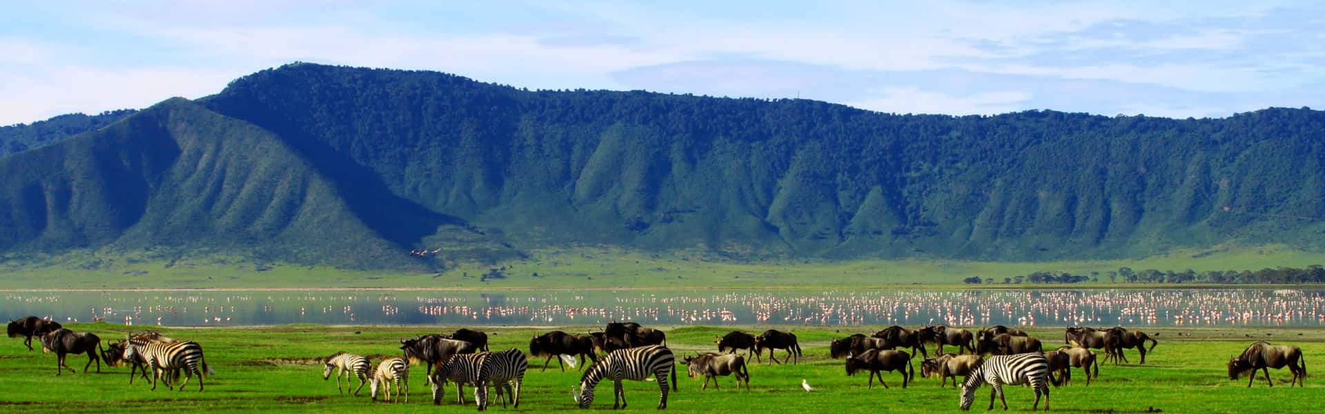 Ngorongoro